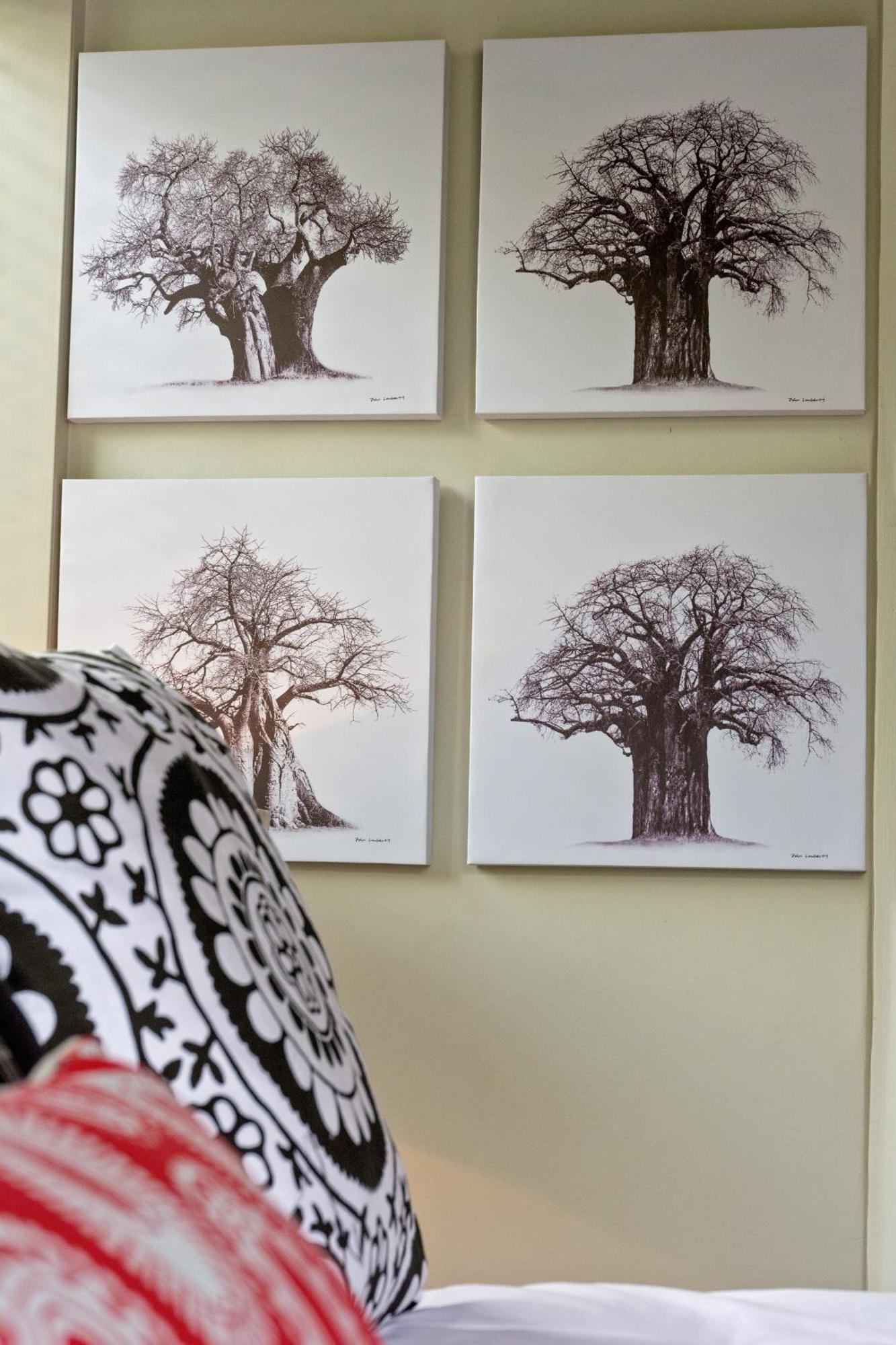 Apartament  Stellenbosch Zewnętrze zdjęcie